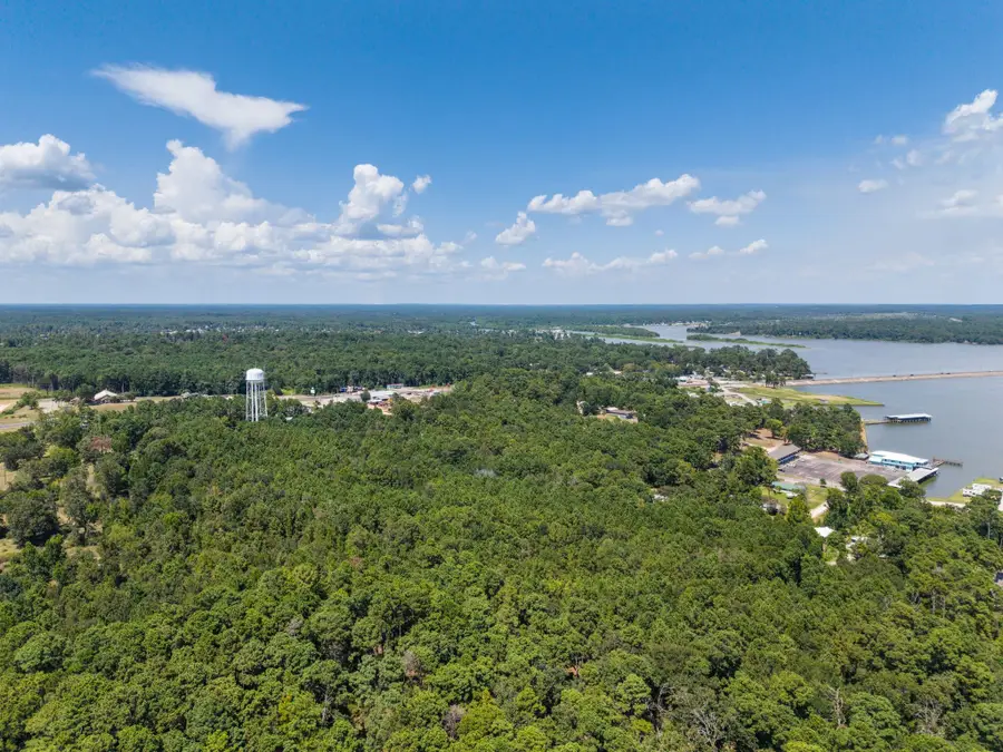 272 Artesian, Onalaska, TX 77360 - #2