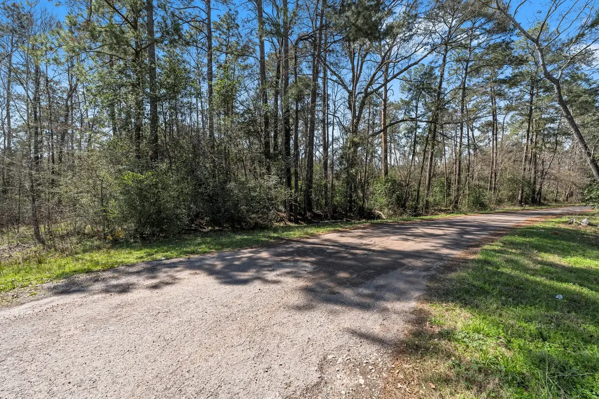 0 Hunters Trail, New Caney, TX 77357 - Image #1