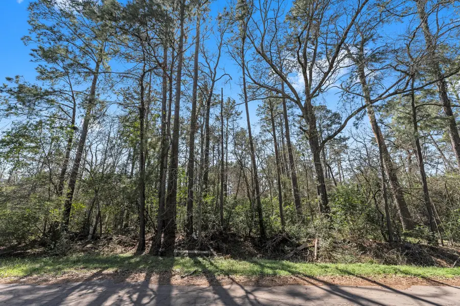 0 Hunters Trail, New Caney, TX 77357 - Image #2