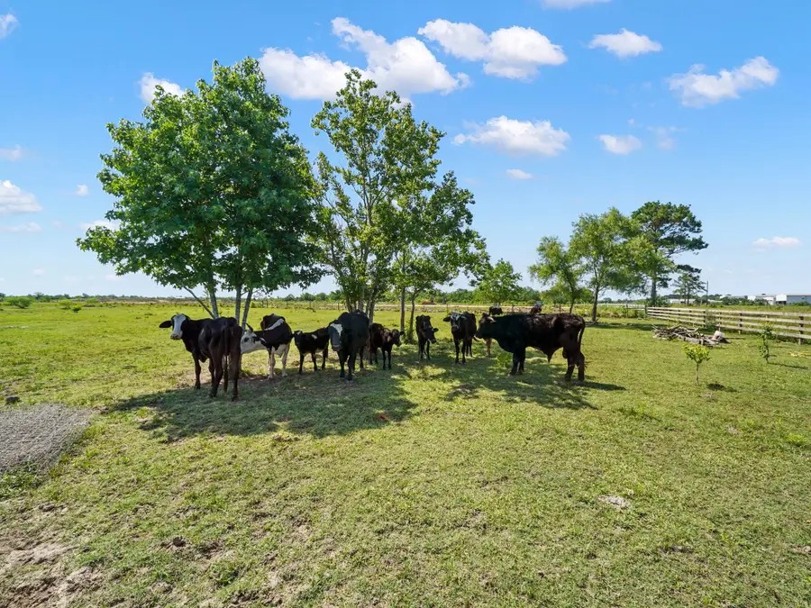 714 Fm 1909, Liberty, TX 77575 - Image #2