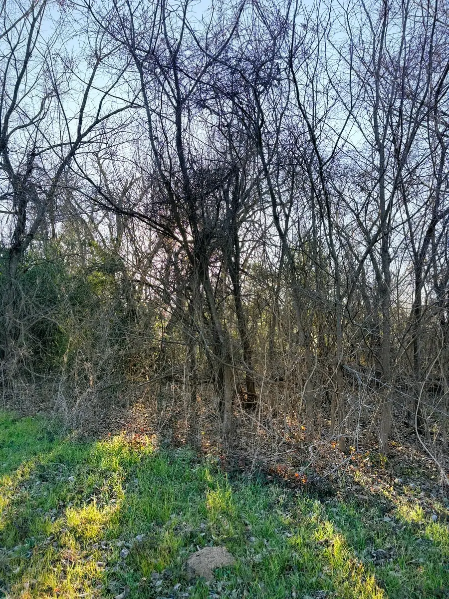 613 N San Jacinto, Hearne, TX 77859 - Image #3