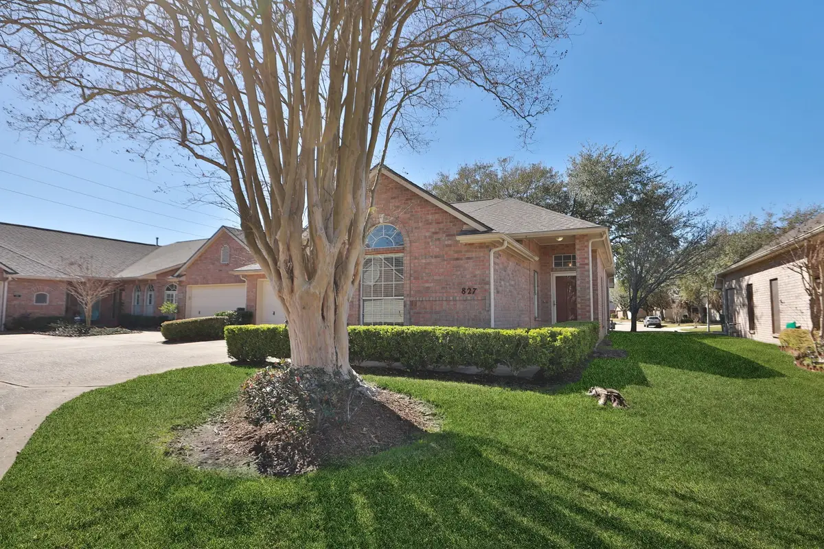 827 Apple Blossom Drive, Pearland, TX 77584 - #1