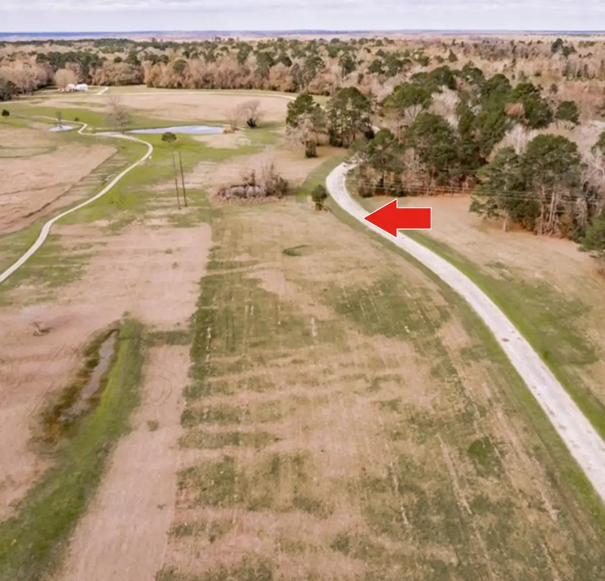 Lot 14 Charleston Street, Trinity, TX 75862 - #1