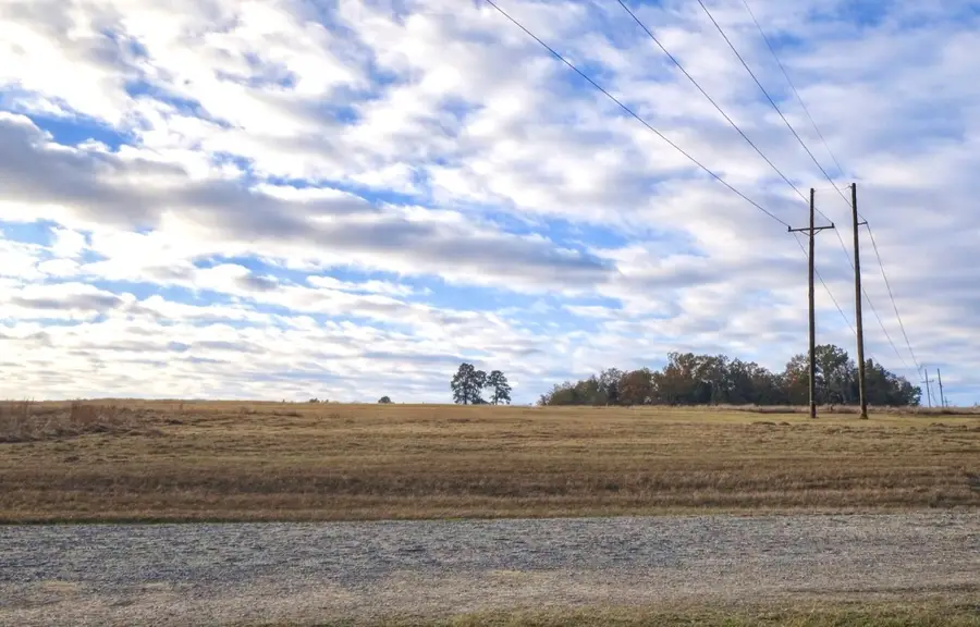 Lot 14 Charleston Street, Trinity, TX 75862 - #3