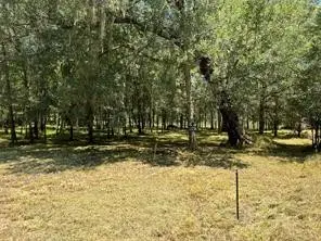 000 Sour Lake Circle, Cleveland, TX 77327