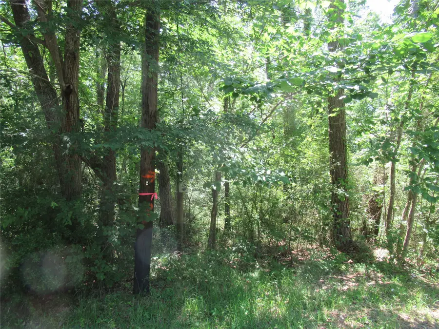 361 Noel, Livingston, TX 77351 - Image #3