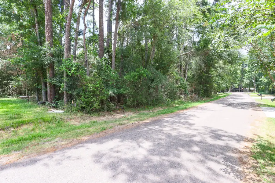 TBD Cedar River Rd, Montgomery, TX 77316 - Image #3