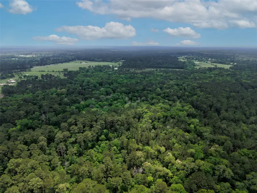 TBD Fm 1791 Road, Richards, TX 77873 - #3