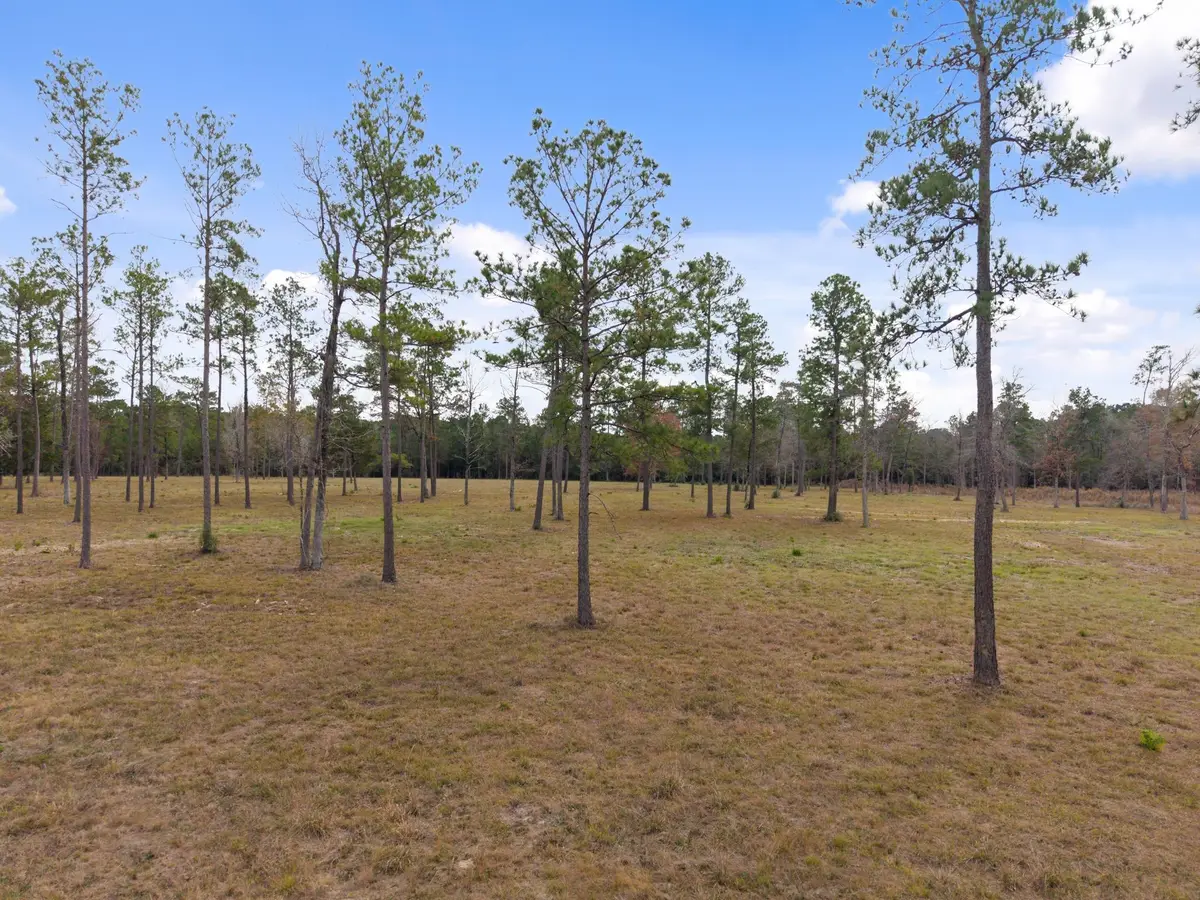 TBD LOT 3 Fm 3152 Road, Livingston, TX 77351 - #1
