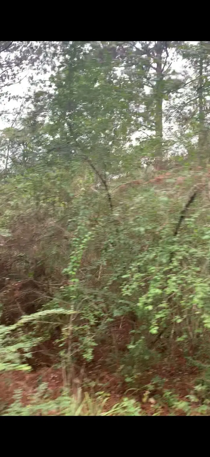 TBD Deerwood Drive, Hempstead, TX 77445 - Image #2