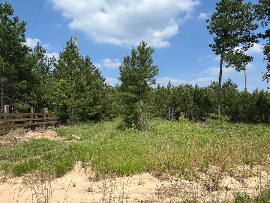 0004 Sh 249, Navasota, TX 77868 - #3