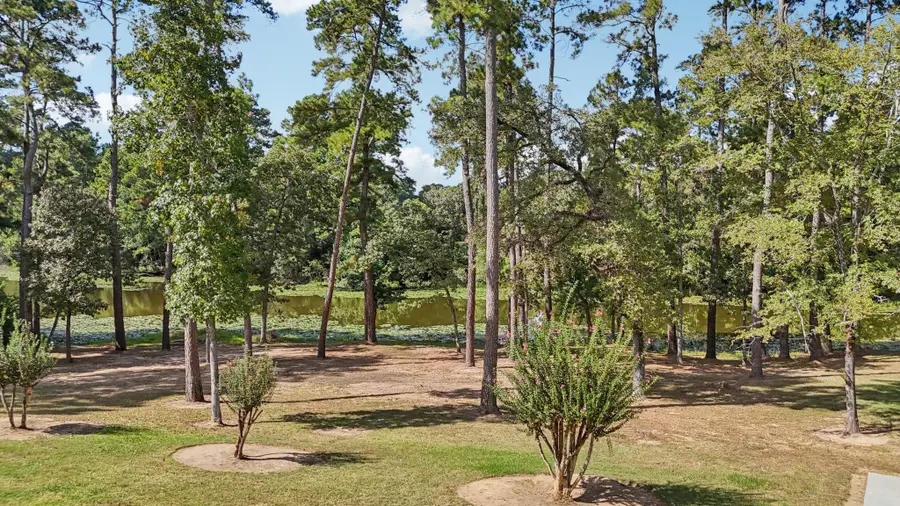 15450 Shady Oaks Drive, Stagecoach, TX 77355 - Image #3