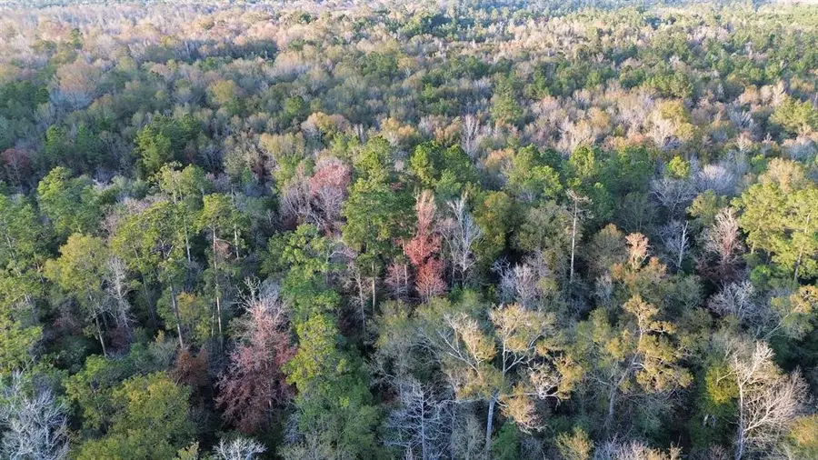 500 Pr 8170, Kirbyville, TX 75956 - #2