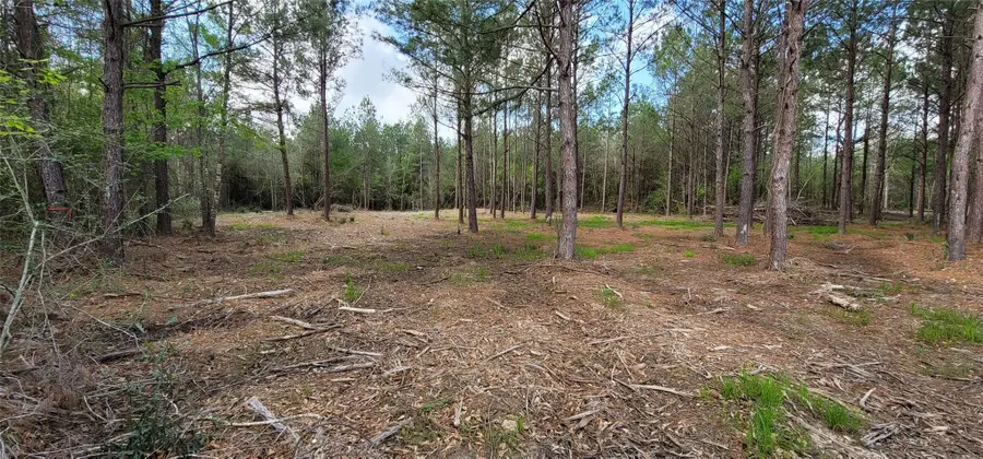 Lot 6 Blue Jay Drive, Kountze, TX 77625 - Image #2