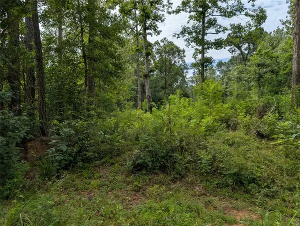 161 Ludies Drive, Livingston, TX 77351