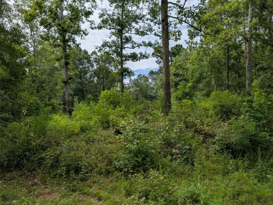 161 Ludies Drive, Livingston, TX 77351 - Image #2