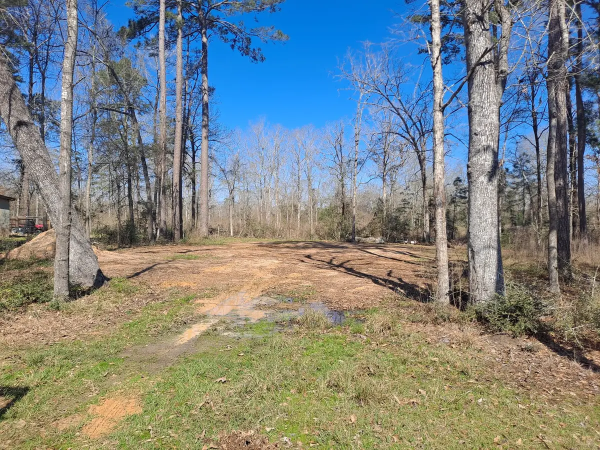 363 Edgewood, Onalaska, TX 77360 - #1