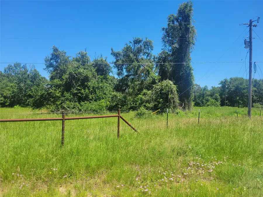 1 Cr 236, Oakwood, TX 75855 - Image #3