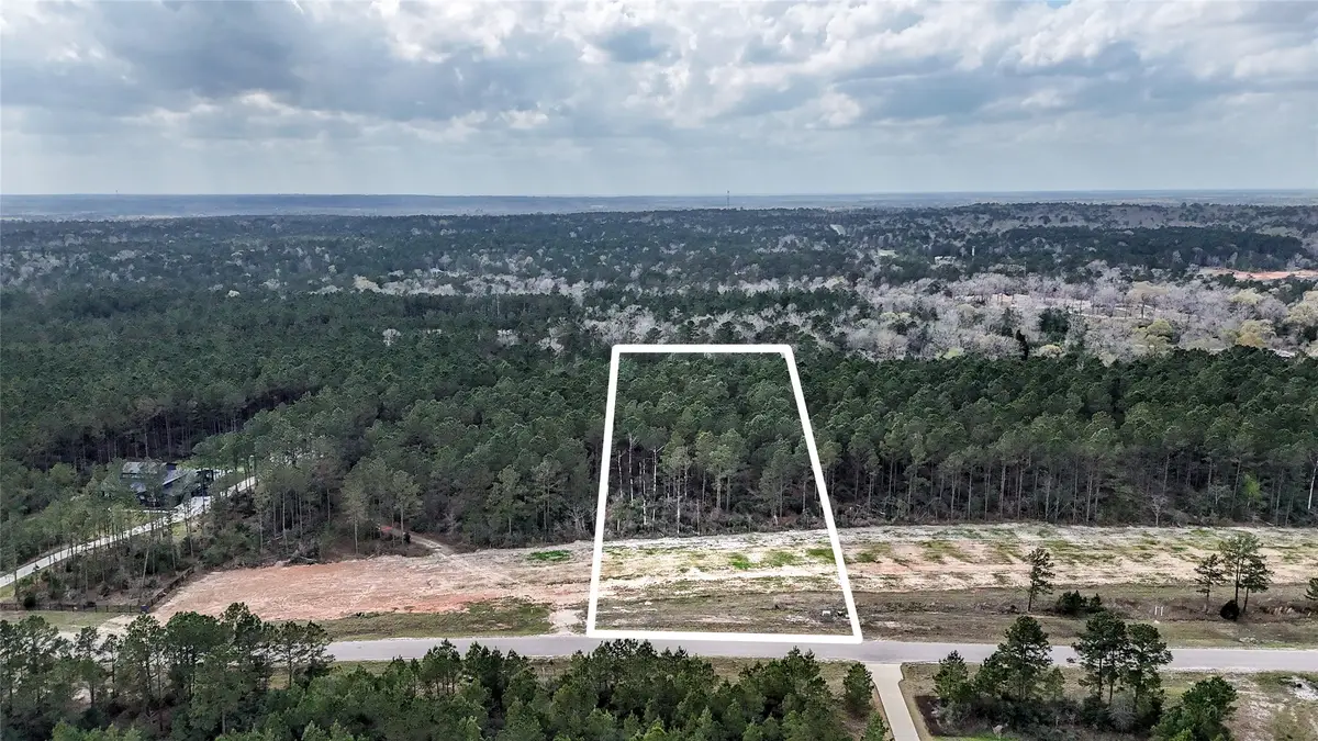 15583 Forest Grove Drive, Willis, TX 77378 - #1