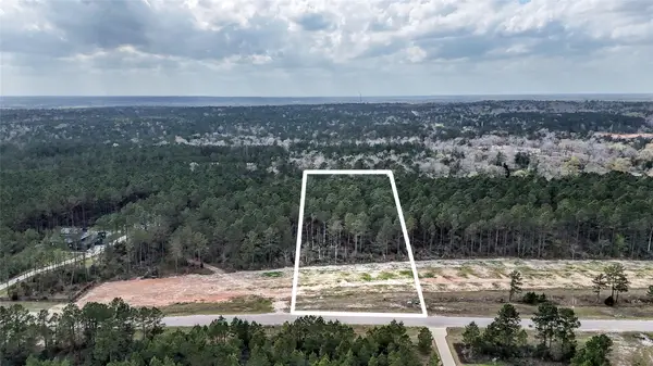 15583 Forest Grove Drive, Willis, TX 77378