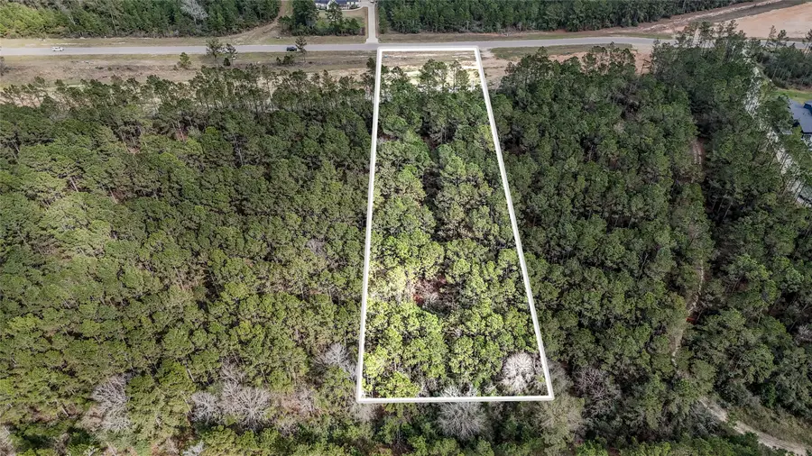 15583 Forest Grove Drive, Willis, TX 77378 - #2