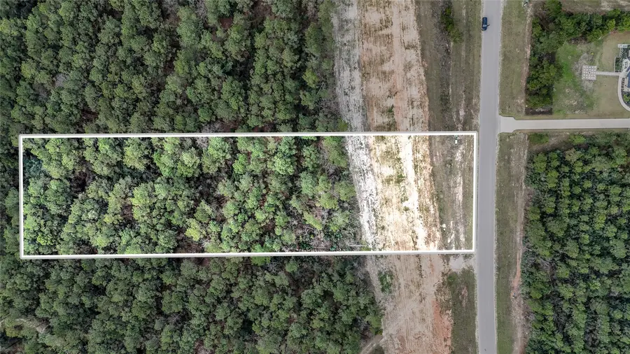 15583 Forest Grove Drive, Willis, TX 77378 - #3