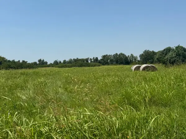 TBD County Road 230, Glen Flora, TX 77443