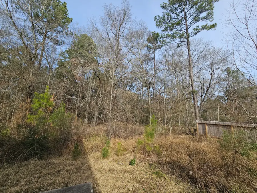 0 Roman Forest Blvd, New Caney, TX 77357 - #3