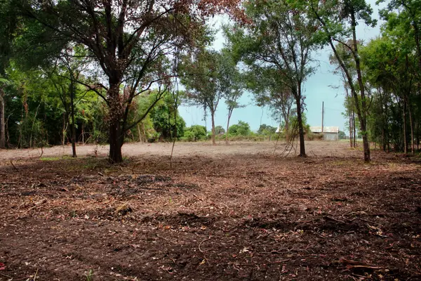 15 Ac Greenbriar Road, Madisonville, TX 77864