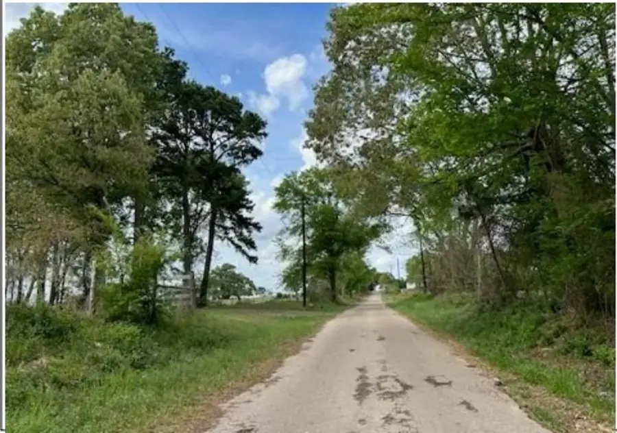 451 County Road 2506, Leesburg, TX 75451 - #2