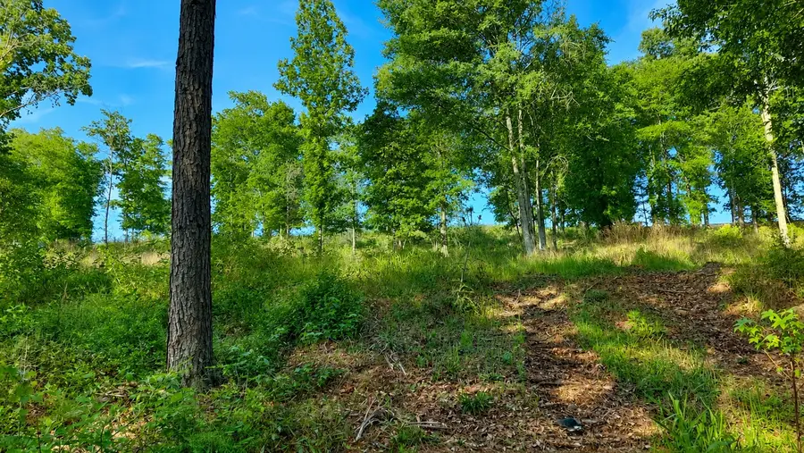 TBD Lot 221 Vintage Rd, Livingston, TX 77351 - #2