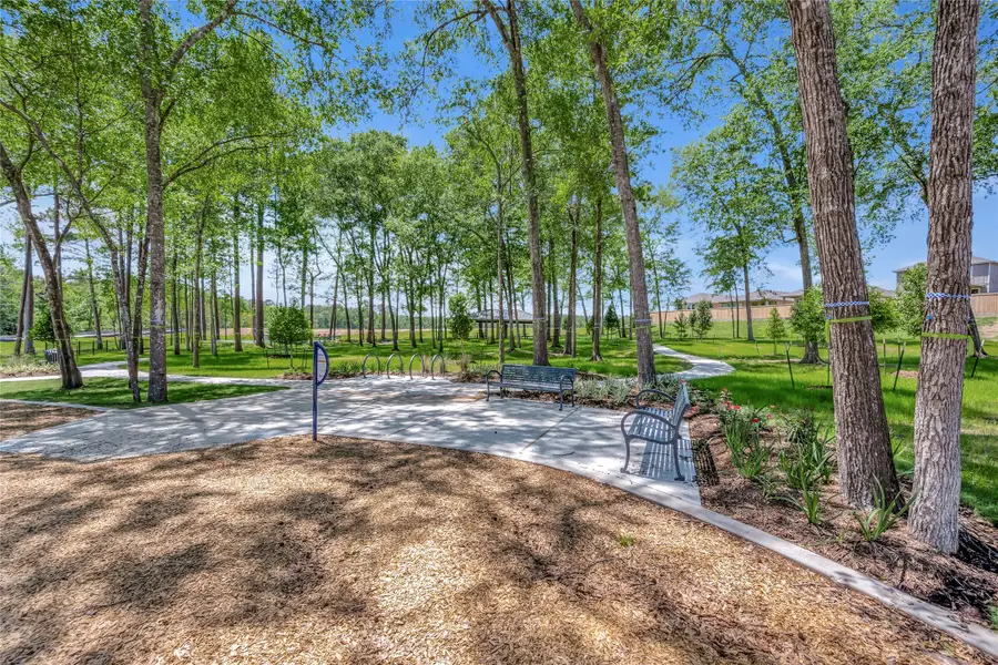 17756 Mill Manor Drive, Montgomery, TX 77316 - #3