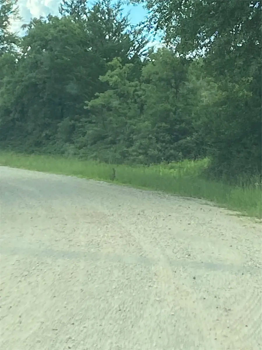 000 Green Ash Drive, Normangee, TX 77871 - Image #3