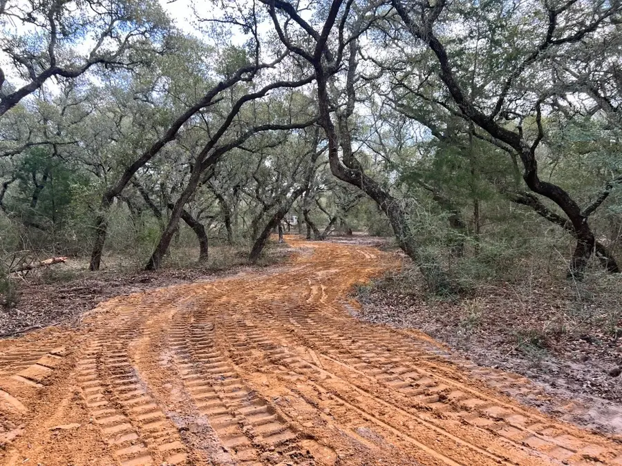 270 Cr 120, Hallettsville, TX 77964 - #2