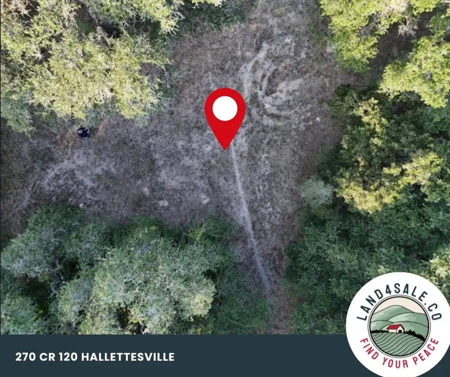 270 Cr 120, Hallettsville, TX 77964 - #3