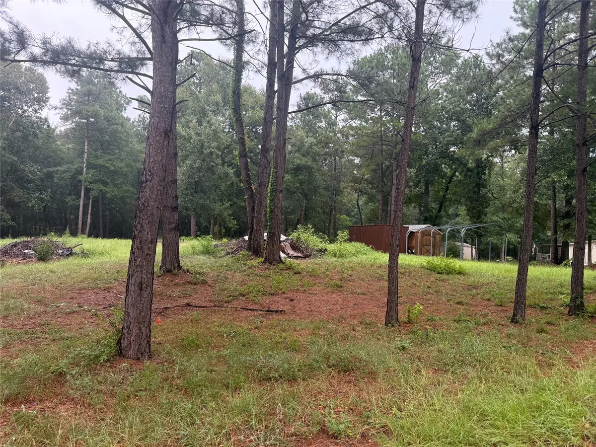 10570 Settlers Crossing, Conroe, TX 77303 - #1