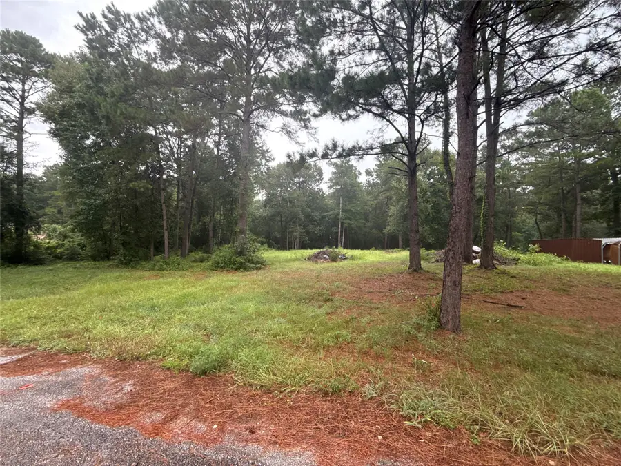 10570 Settlers Crossing, Conroe, TX 77303 - #3