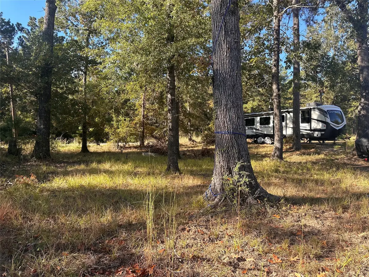 476 W Woodland Shores Drive, Point Blank, TX 77364 - Image #1