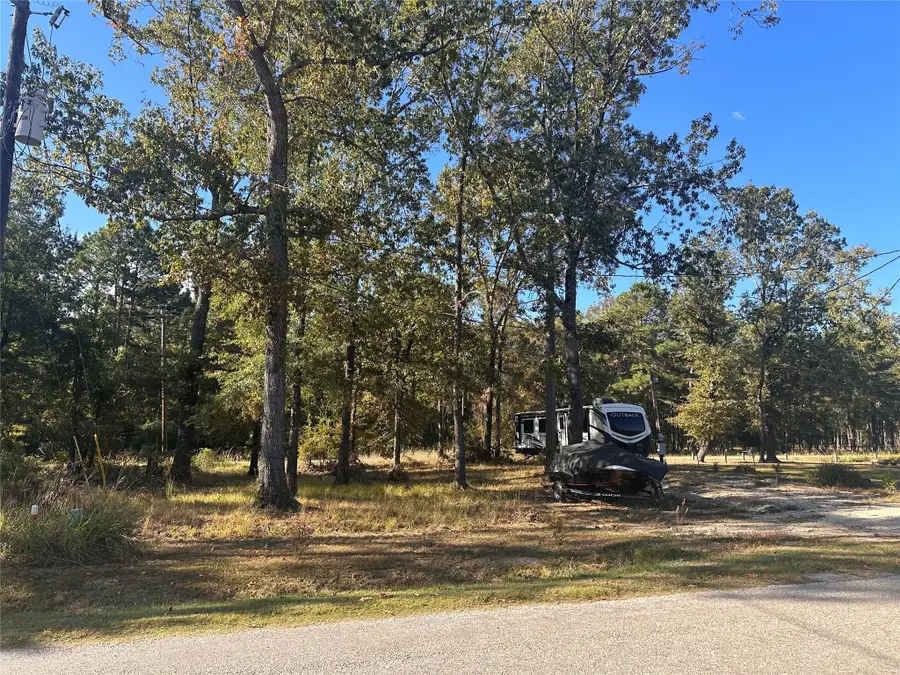 476 W Woodland Shores Drive, Point Blank, TX 77364 - Image #3