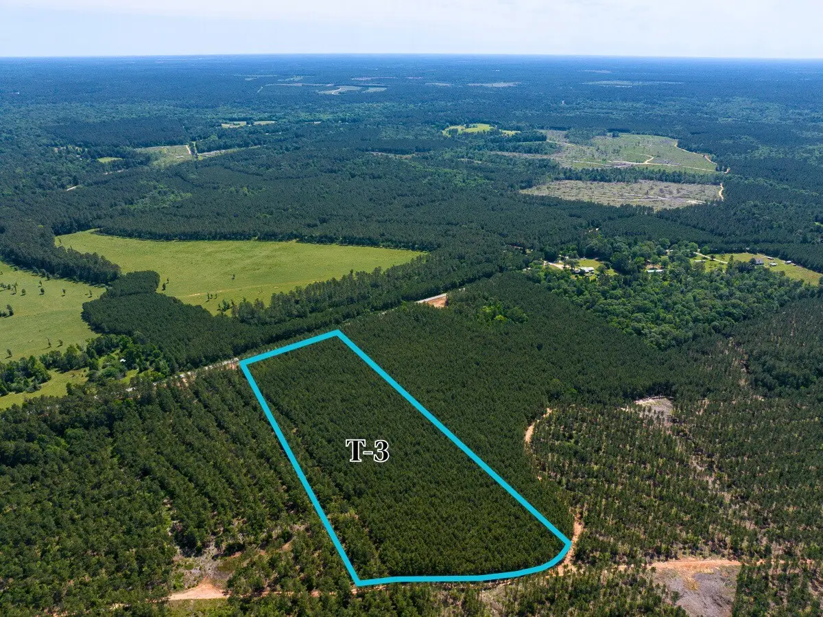 3 Camp Ruby Road, Livingston, TX 77351 - #1