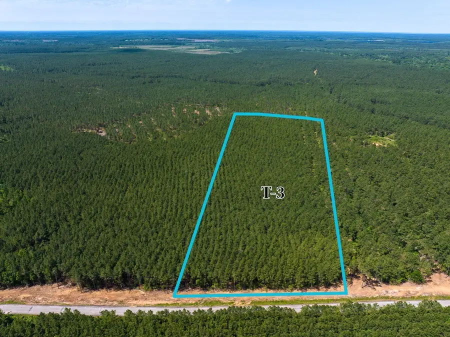 3 Camp Ruby Road, Livingston, TX 77351 - #3