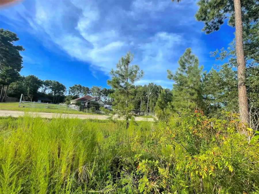 124 County Road 3546, Cleveland, TX 77327 - #2