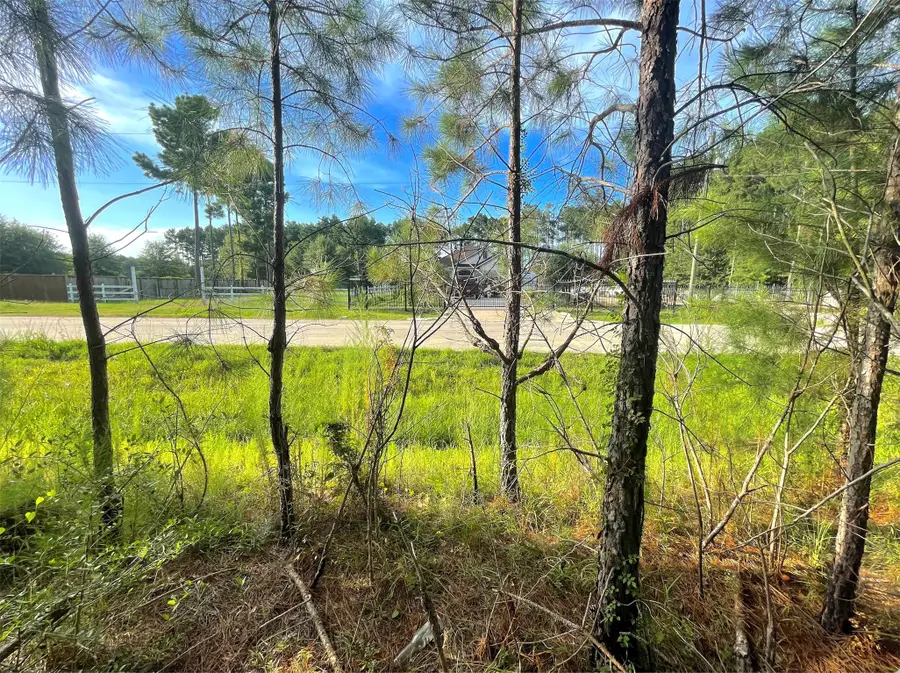 124 County Road 3546, Cleveland, TX 77327 - #3