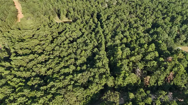 Lot 26 Deer Run Road, Chester, TX 75936