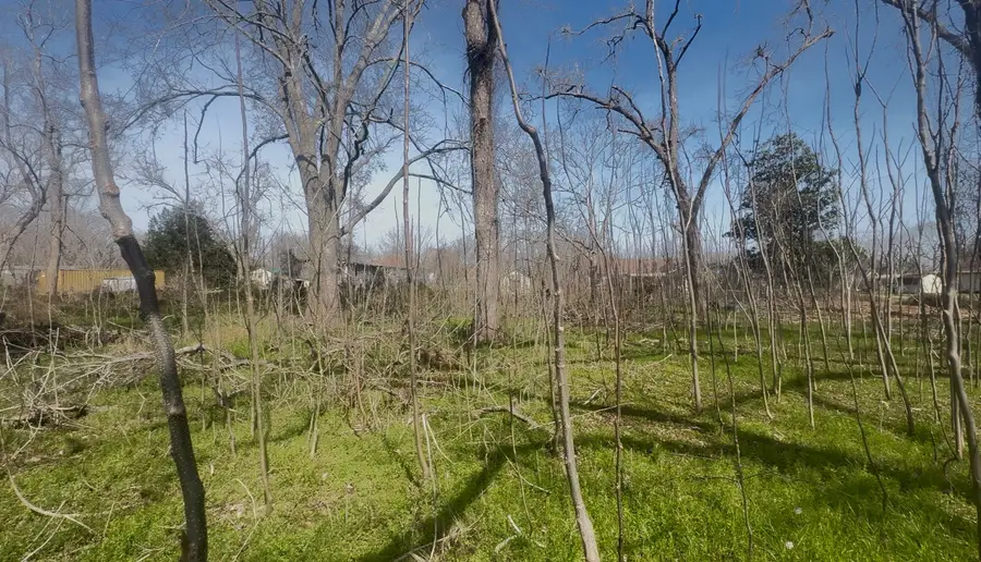 5760-1630-000 Igloo Lane, Angleton, TX 77515 - #3