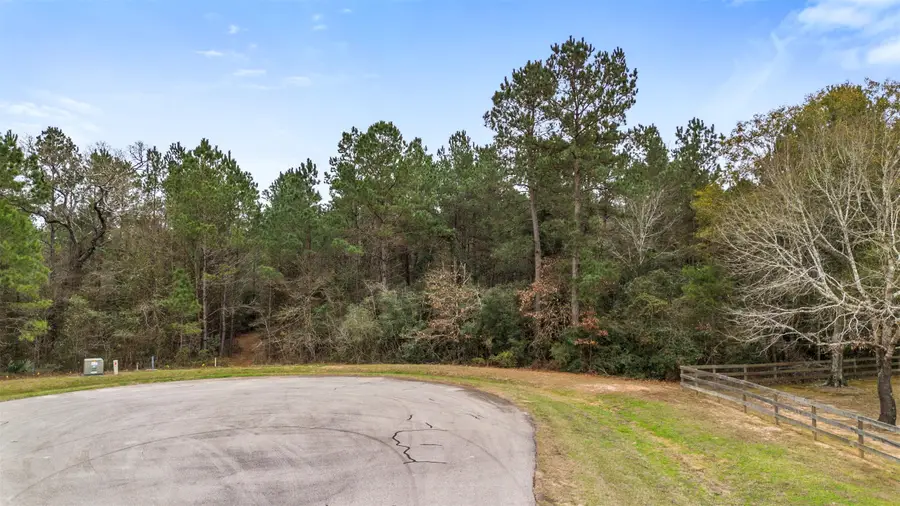 4504 Mistywood Court, Montgomery, TX 77316 - #3