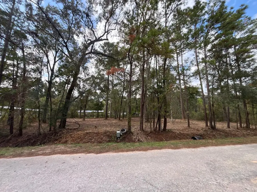 20982 S Sabine Dr, New Caney, TX 77357 - Image #2