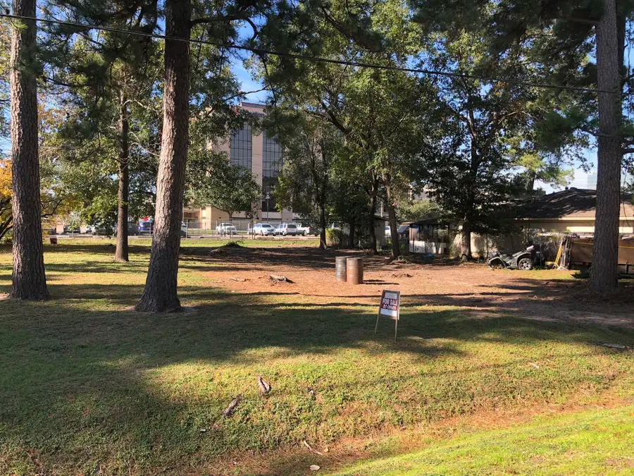 0 Mossforest Drive, Houston, TX 77090 - Image #2