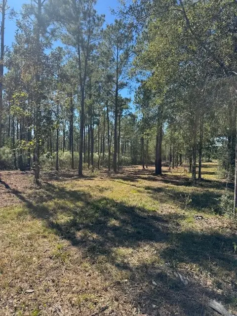 TBD FM 350 South, Lot 7 Fm-350 S, Livingston, TX 77351