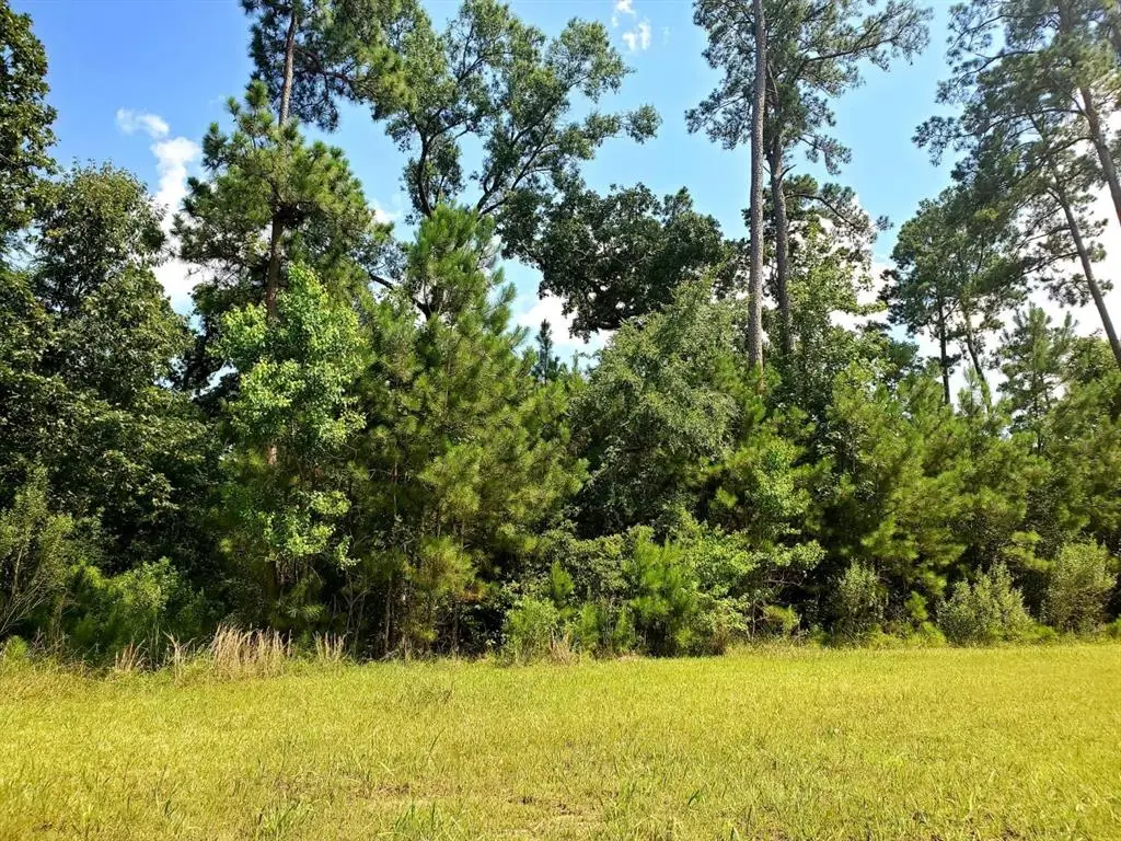 113 Kings Lake Estates Boulevard, Humble, TX 77346 - #1